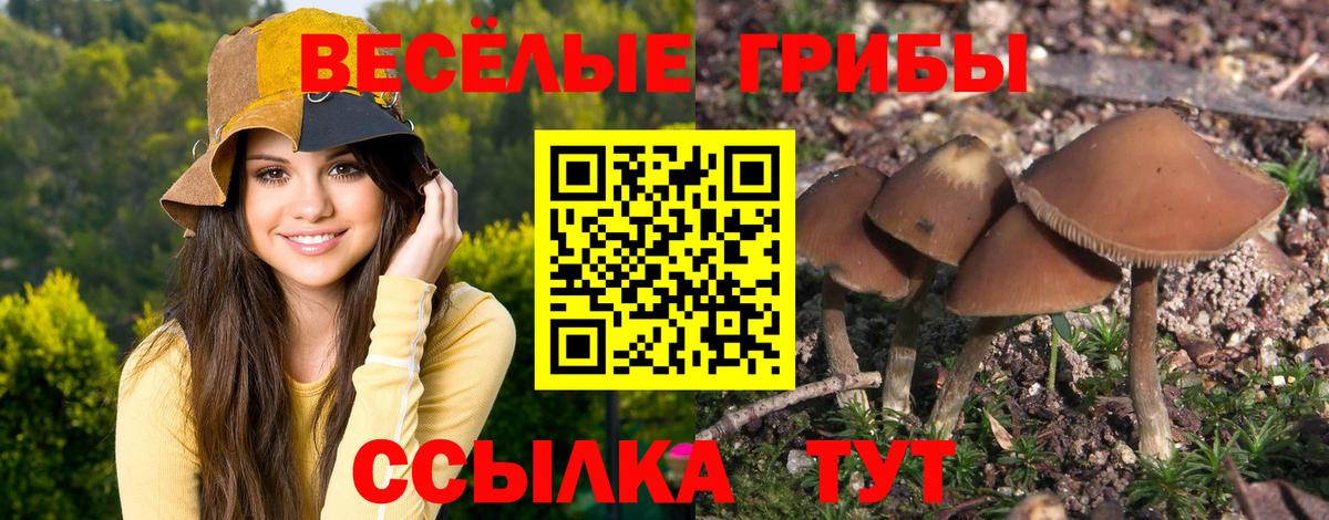 Псилоцибиновые грибы Magic Shrooms  Галлюциногенные грибы GOLDEN TEACHER  Богданович  Вход с VPN 